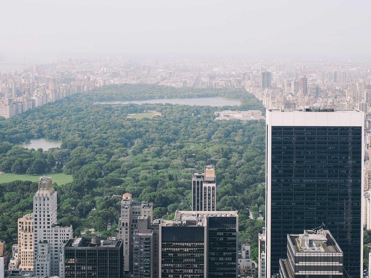 Looking down over a big-city park from an observation deck, haze softening the skyline